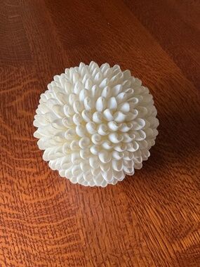 5 1/2” white seashell ball